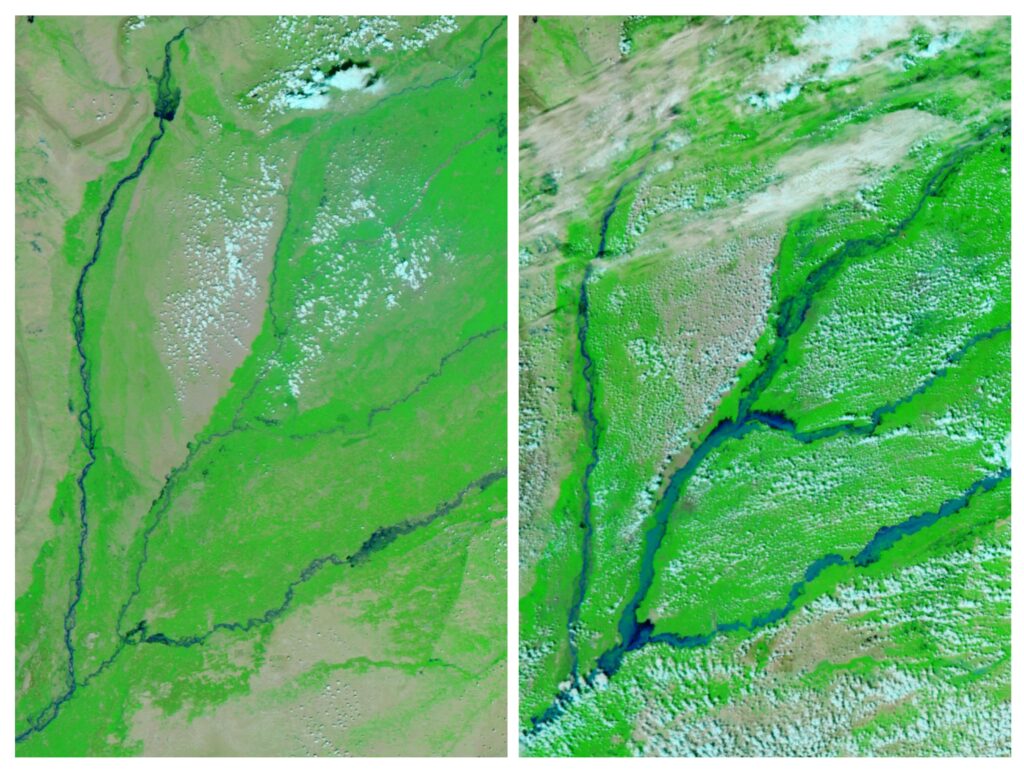 Pakistan Flood