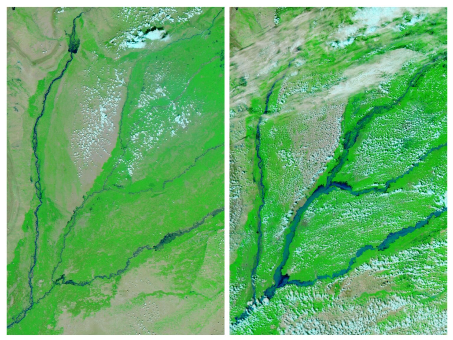 Pakistan Flood