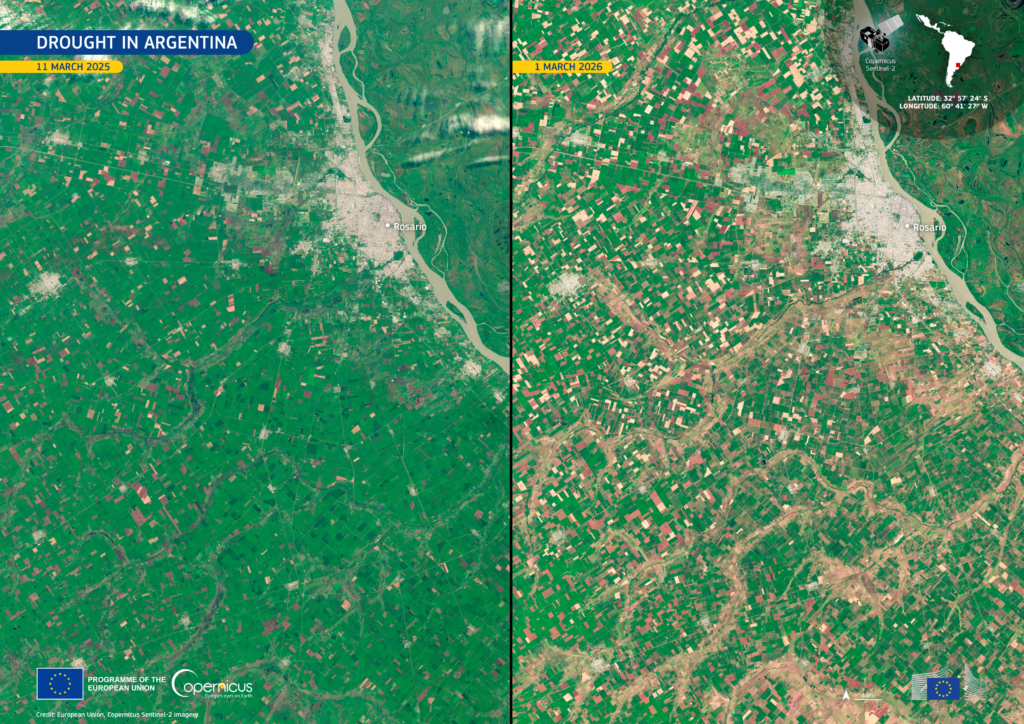 Two side by side images, one showing lush green fields, the other showing lots of brown patches owing to drought.