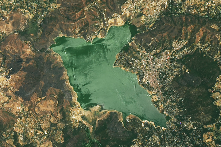 Satellite image of a reservoir in Mexico surrounded by dry land.
